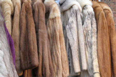 3 mistakes you need to avoid when it comes to your furs